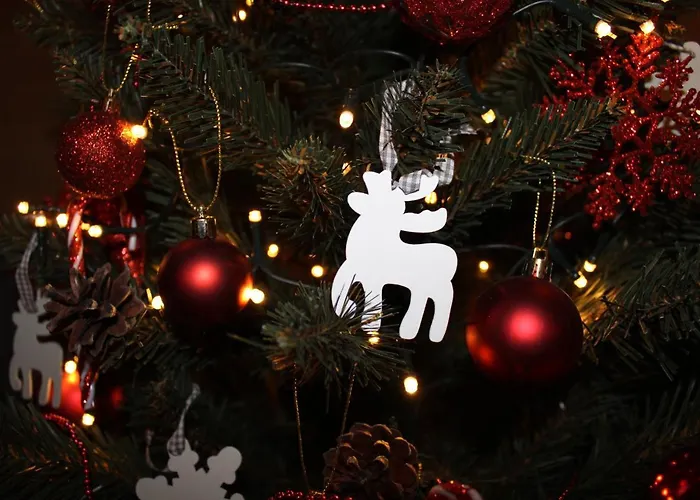 Janicka Appartamento *